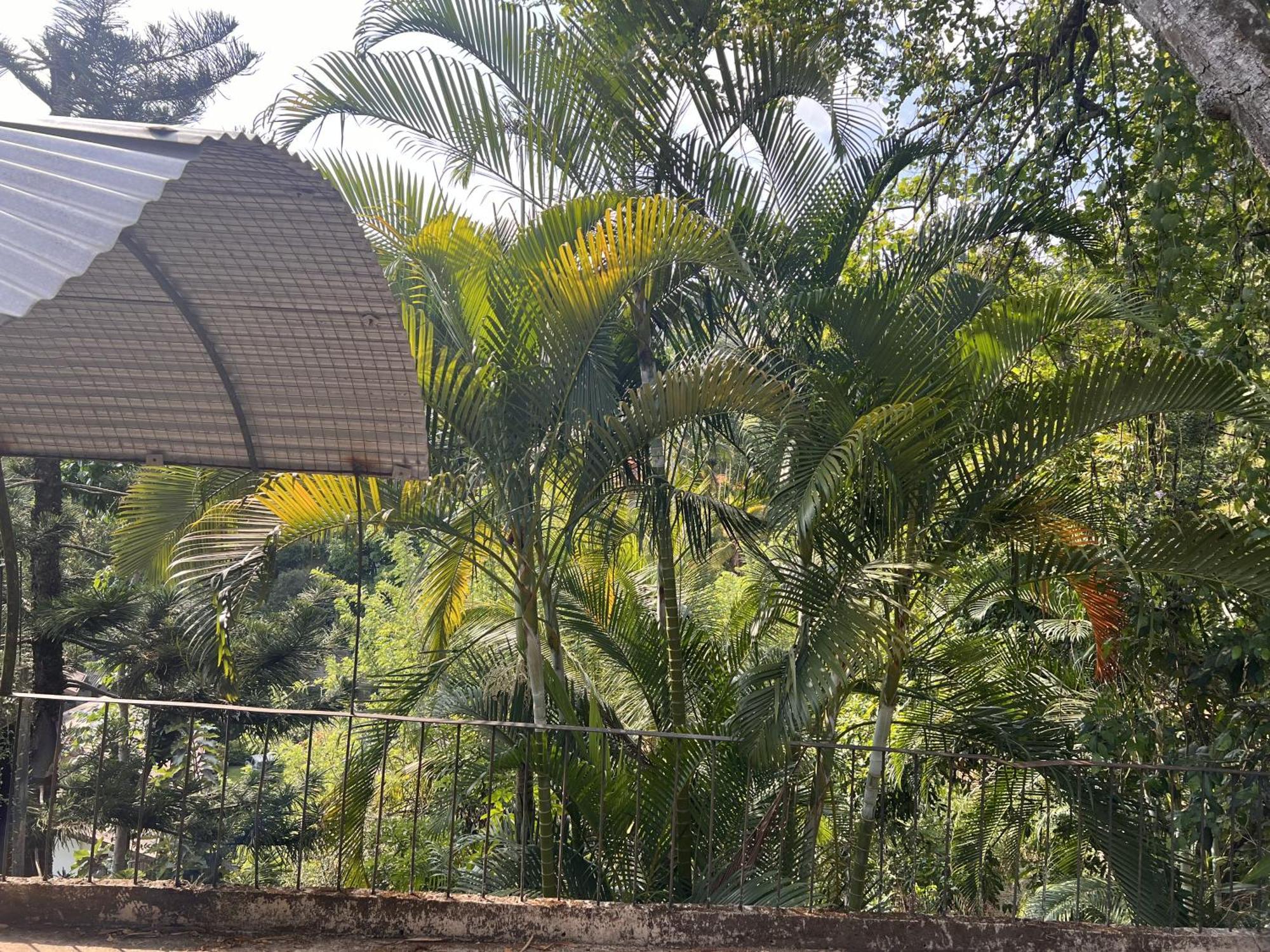 Canopy Villa Kandy Zewnętrze zdjęcie