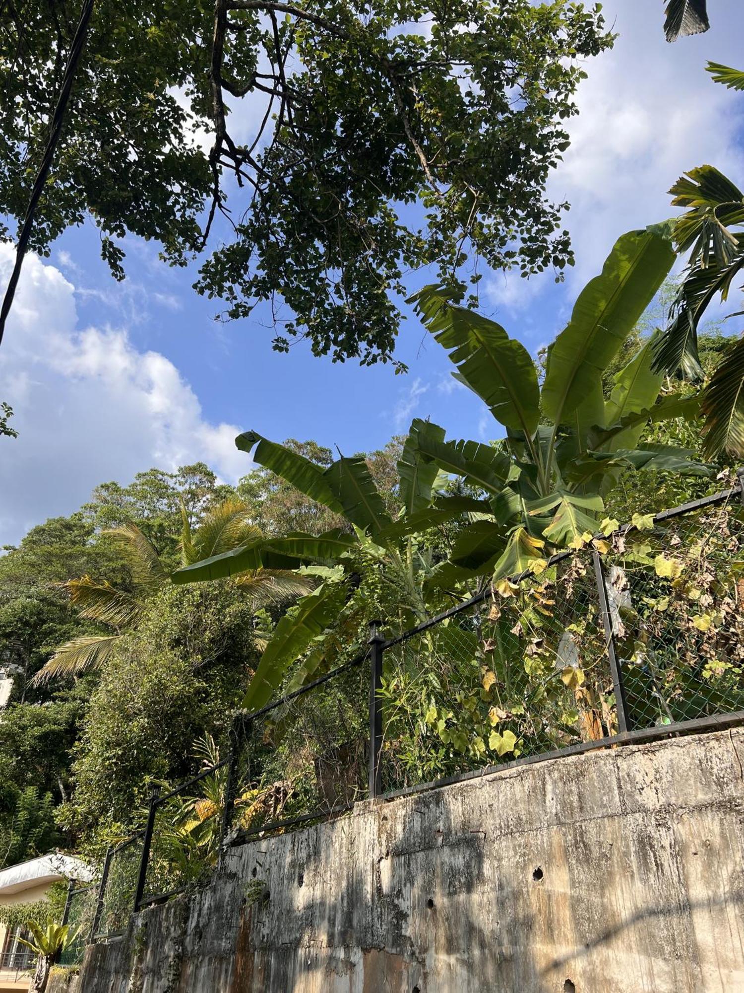 Canopy Villa Kandy Zewnętrze zdjęcie